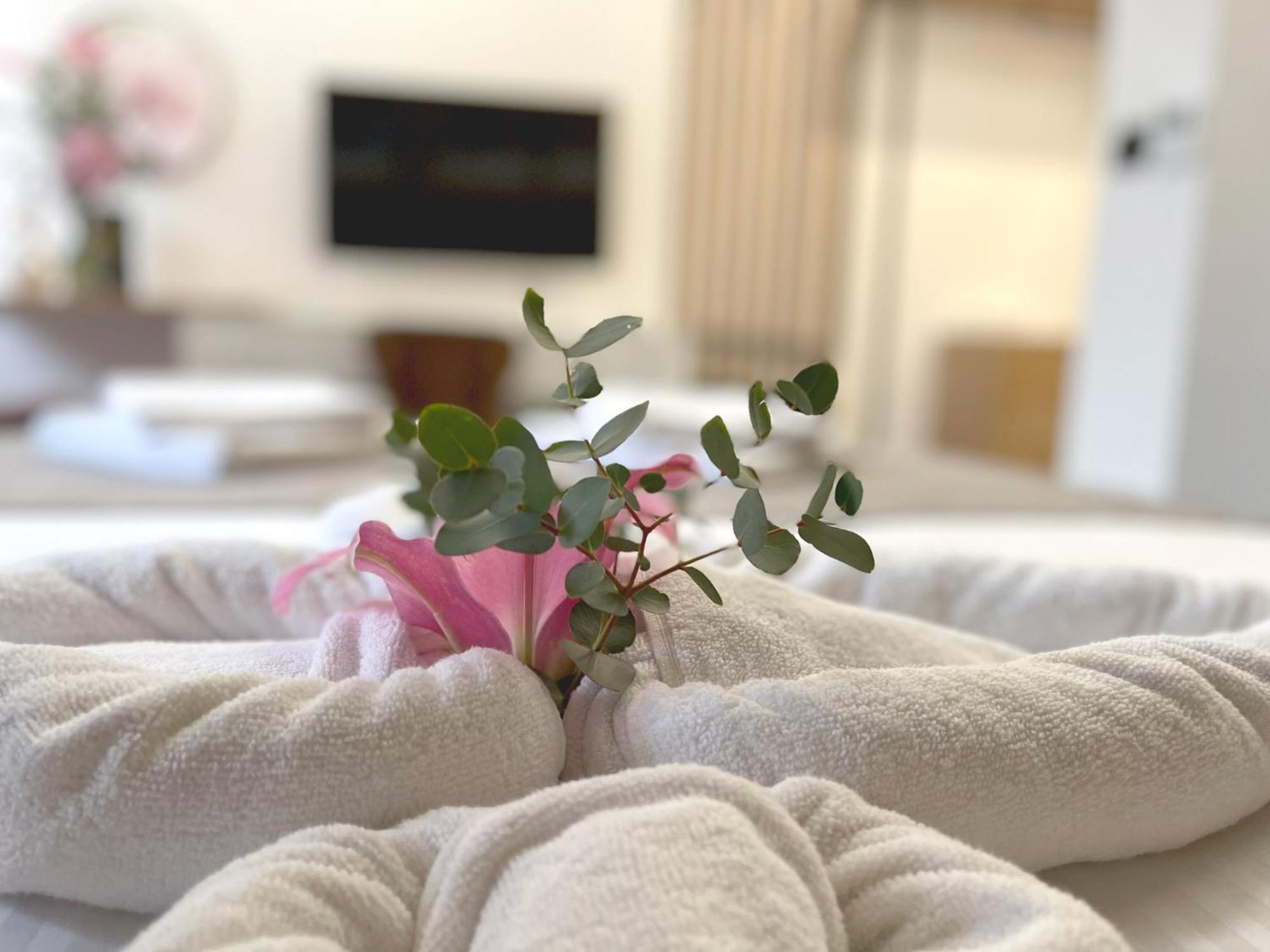 Hotel Npl Code Naselje Starosjedilaca Luaran gambar