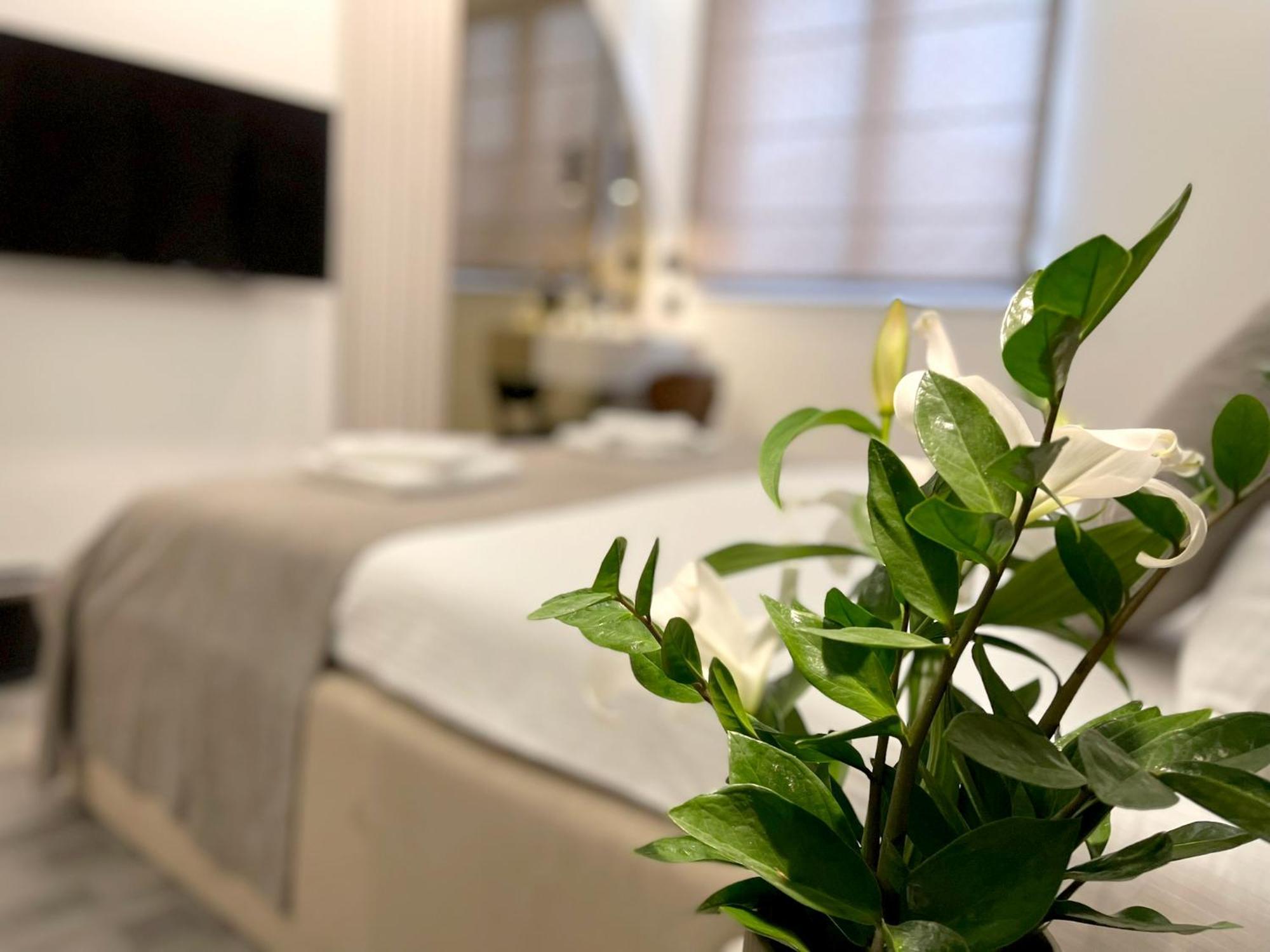 Hotel Npl Code Naselje Starosjedilaca Luaran gambar